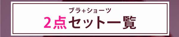 ブラ＆ショーツセット：2点セット