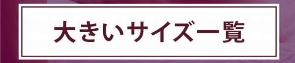 大きいサイズのブラ＆ショーツ一覧