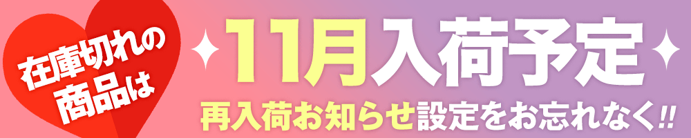 11月入荷予定