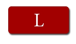 流遊の新作和柄ドレス続々リリース。Ryuyu-Selection.Lサイズ